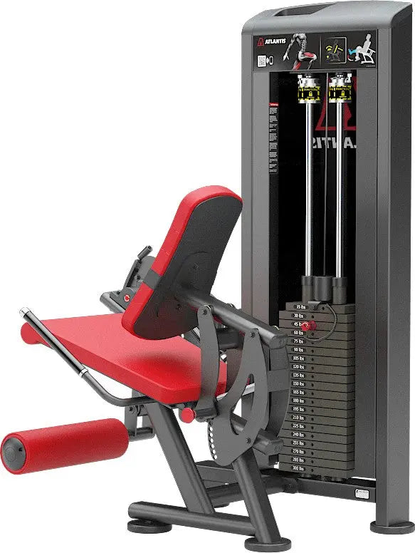 Beinstrecker-Maschine – Atlantis (Ansicht 4)
