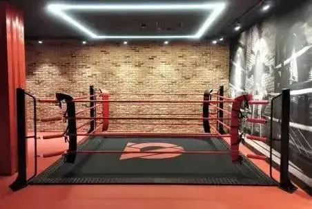 Ecofix bodenmontierter Boxring mit Aluminiumrahmen – Professioneller Ring für Fitnessstudios Sportcom