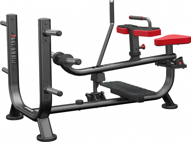 Sitzende Wadenmaschine Atlantis