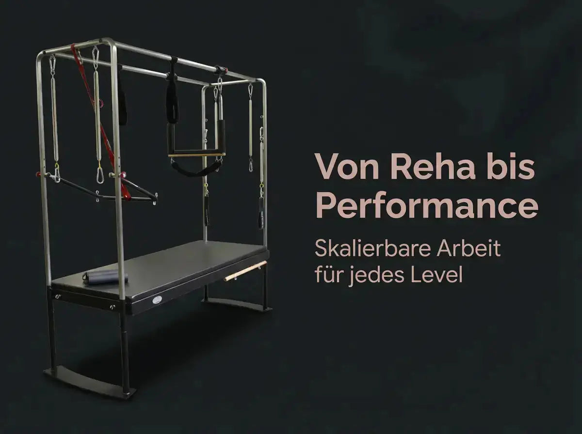 Body & Exercise Cadillac Black Edition aus Edelstahl, Grafik zu Übungen für jedes Level