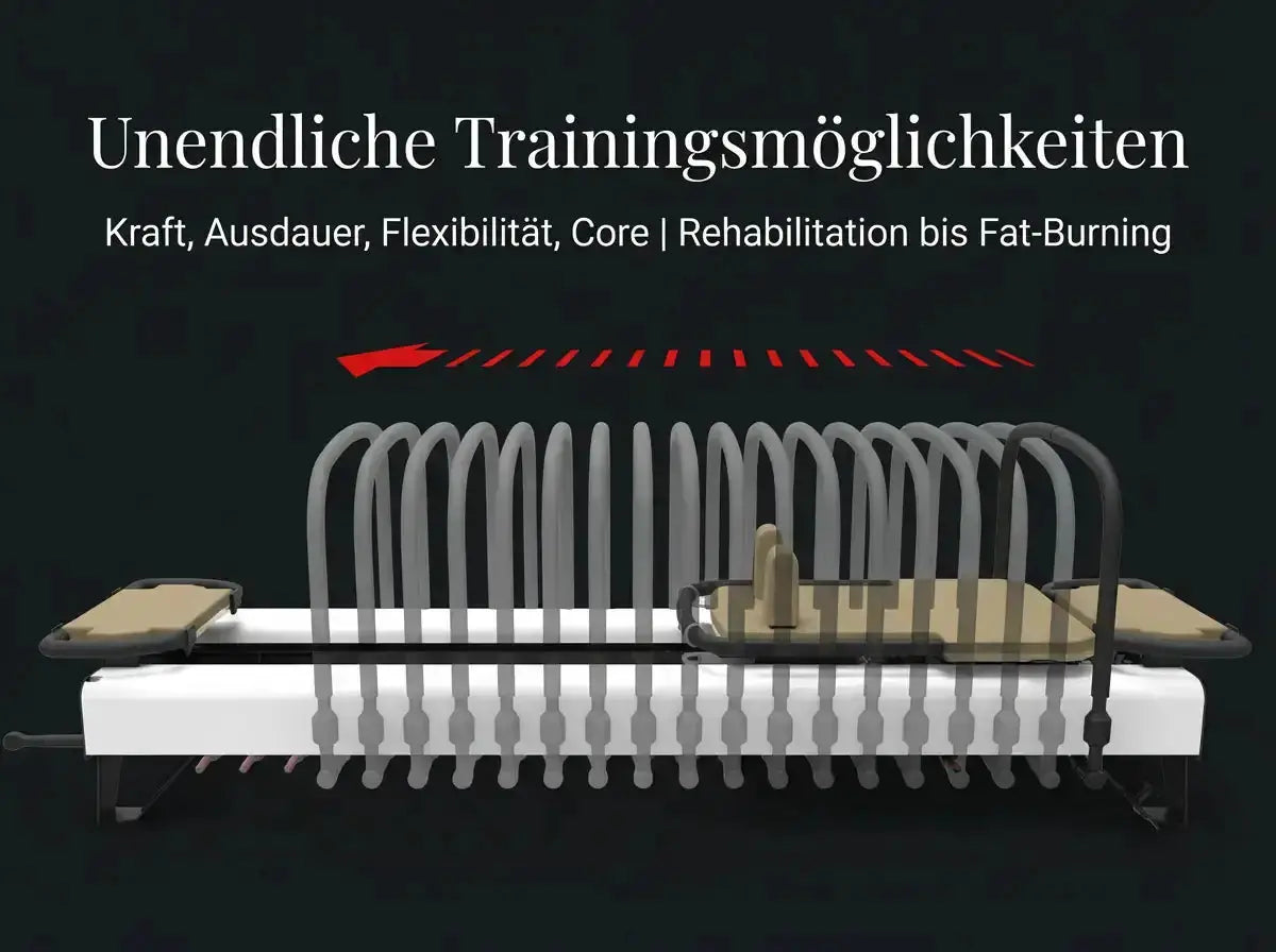 Body & Exercise EVO-Performance Workstation, Grafik zu den Trainingsmöglichkeiten mit Federn