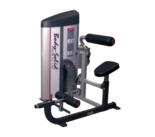 Body-Solid Series II Ab & Back Machine – Effektives Core-Training für Bauch und Rücken