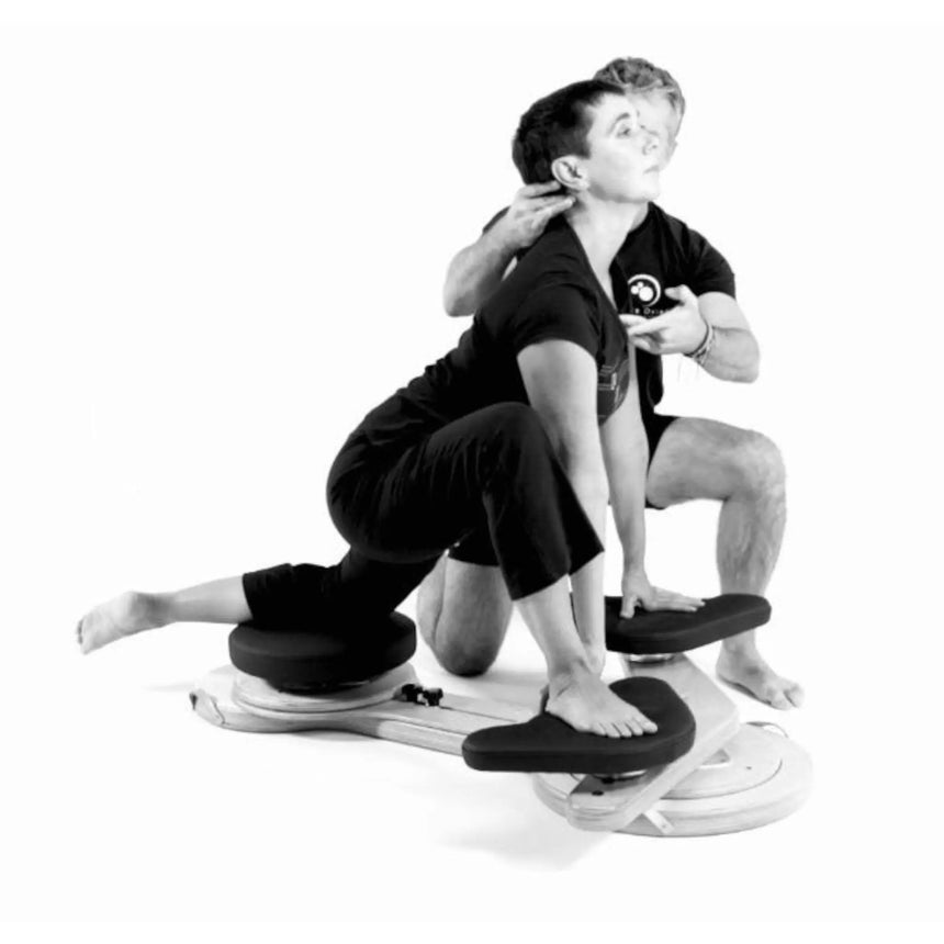MTD Comprehensive Re-Training System Rotational Exercise Platform Elina Pilates
