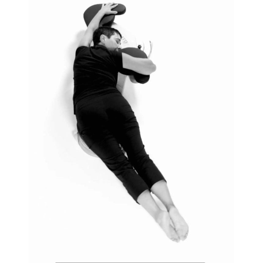 MTD Comprehensive Re-Training System Rotational Exercise Platform Elina Pilates