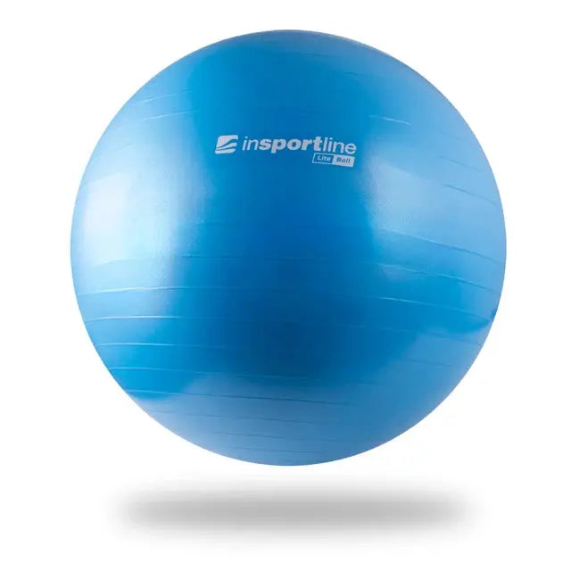 inSPORTline Exercise Ball 65 cm Lite Ball Stable Non‑Slip Balance Trainer InSportLine