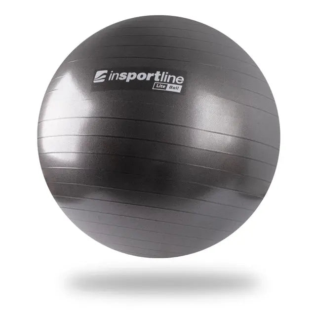 inSPORTline Exercise Ball 65 cm Lite Ball Stable Non‑Slip Balance Trainer InSportLine