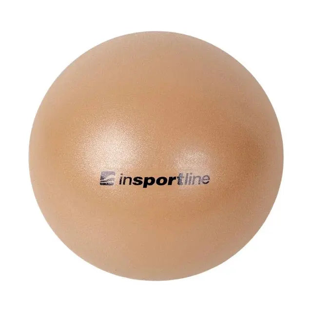 inSPORTline Exercise Aerobic Ball – 25 cm | Versatile Fitness & Balance Training Tool InSportLine