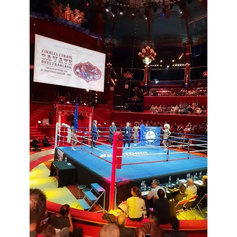 SportCom Ringplane für Wettkampf-Boxringe: Ring mit blauer Plane in einer Arena mit Publikum