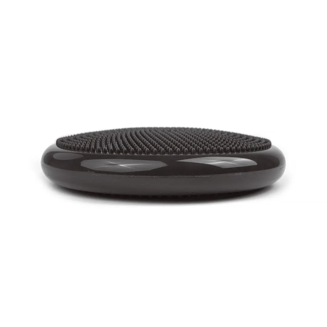 tiguar air disc (graphite)