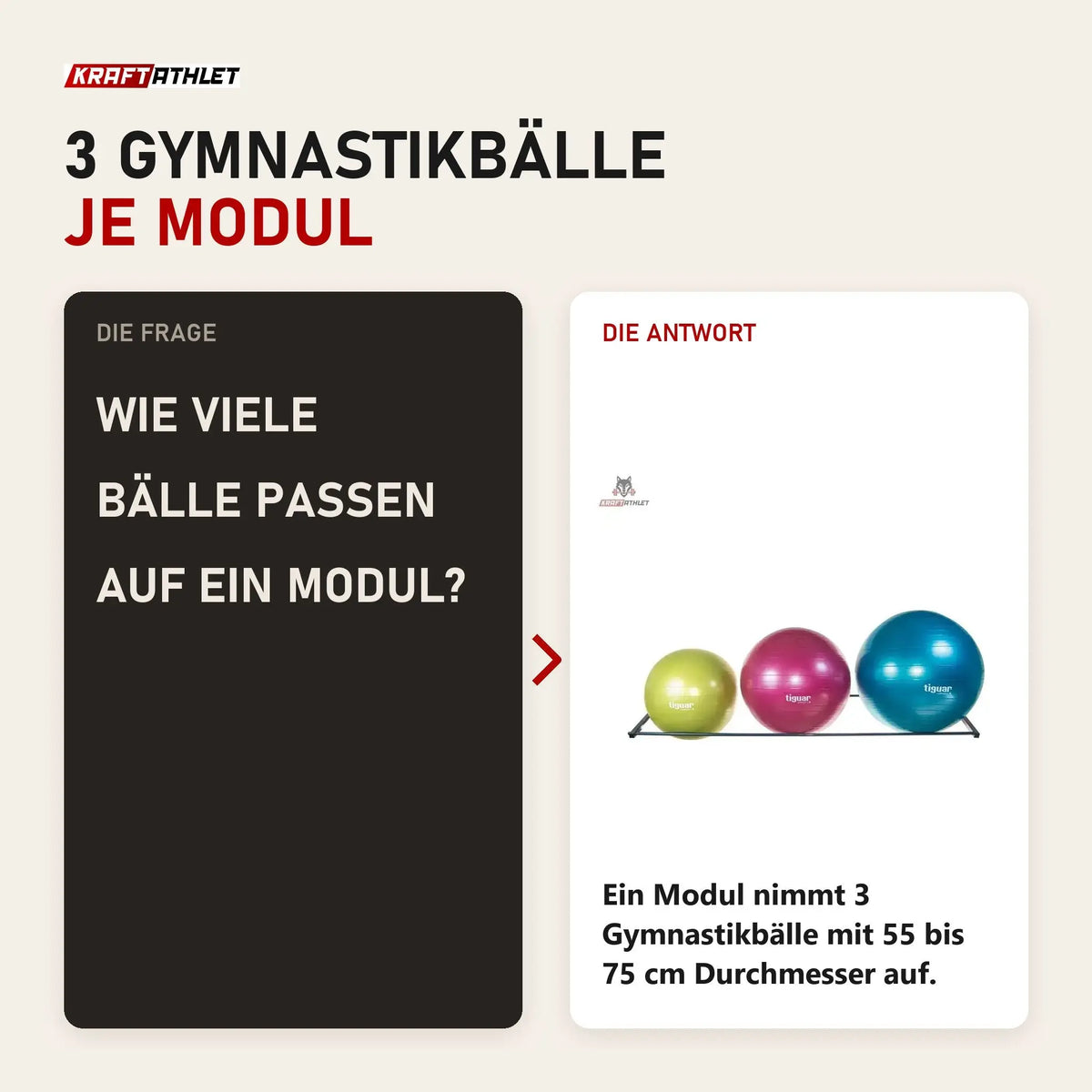 Frage und Antwort zu tiguar Ballhalter Wandmontage: Wie viele Bälle passen auf ein Modul?