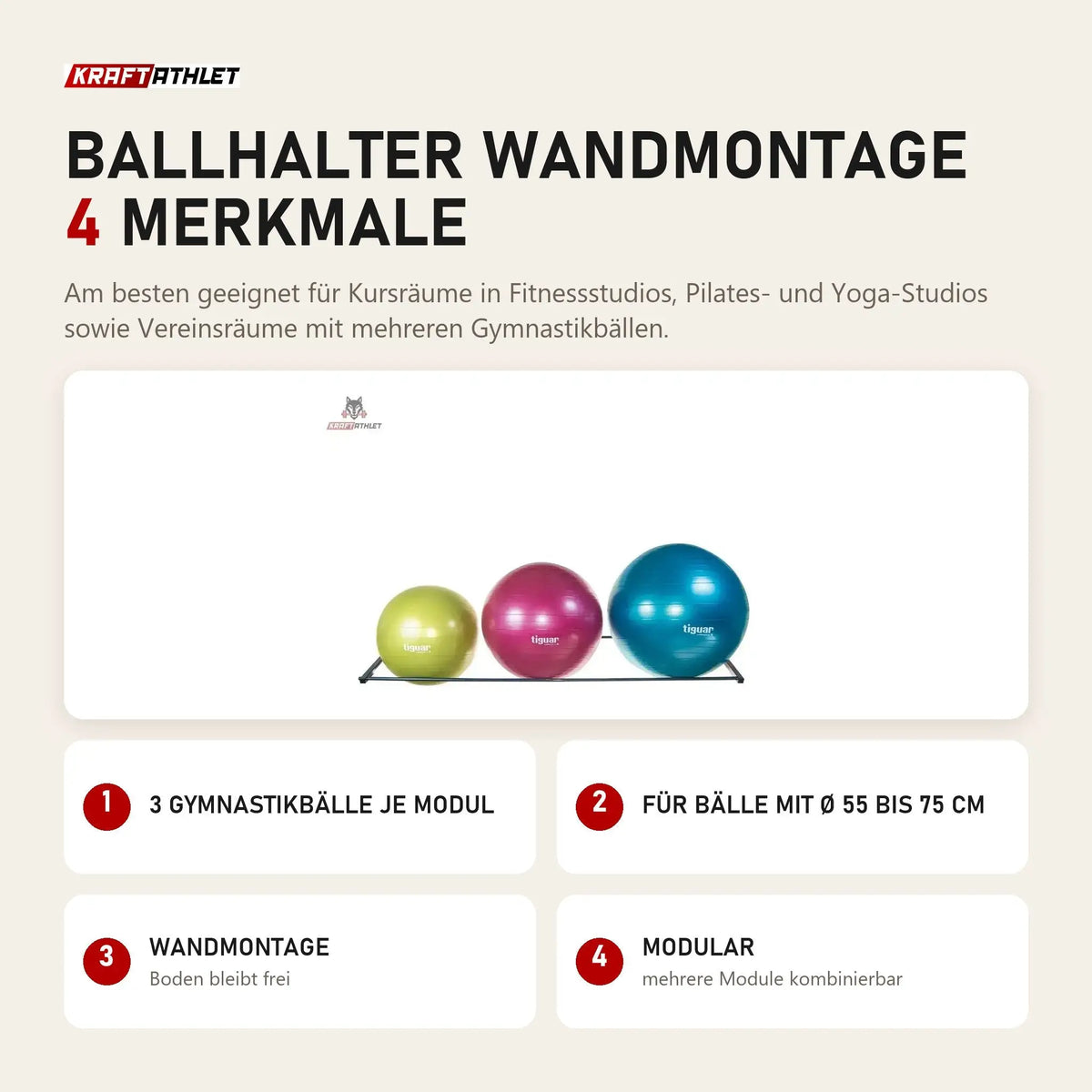 tiguar Ballhalter Wandmontage mit 4 Merkmalen: 3 Gymnastikbälle je Modul, Für Bälle mit Ø 55 bis 75 cm, Wandmontage, Modular