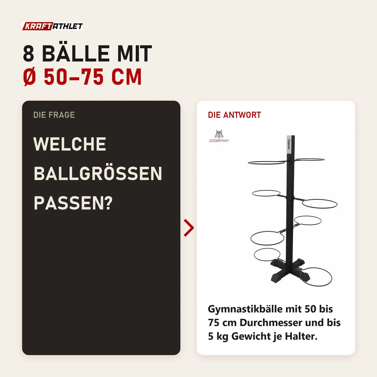 Frage und Antwort zu tiguar Bodyball-Rack 8-fach: Welche Ballgrößen passen?