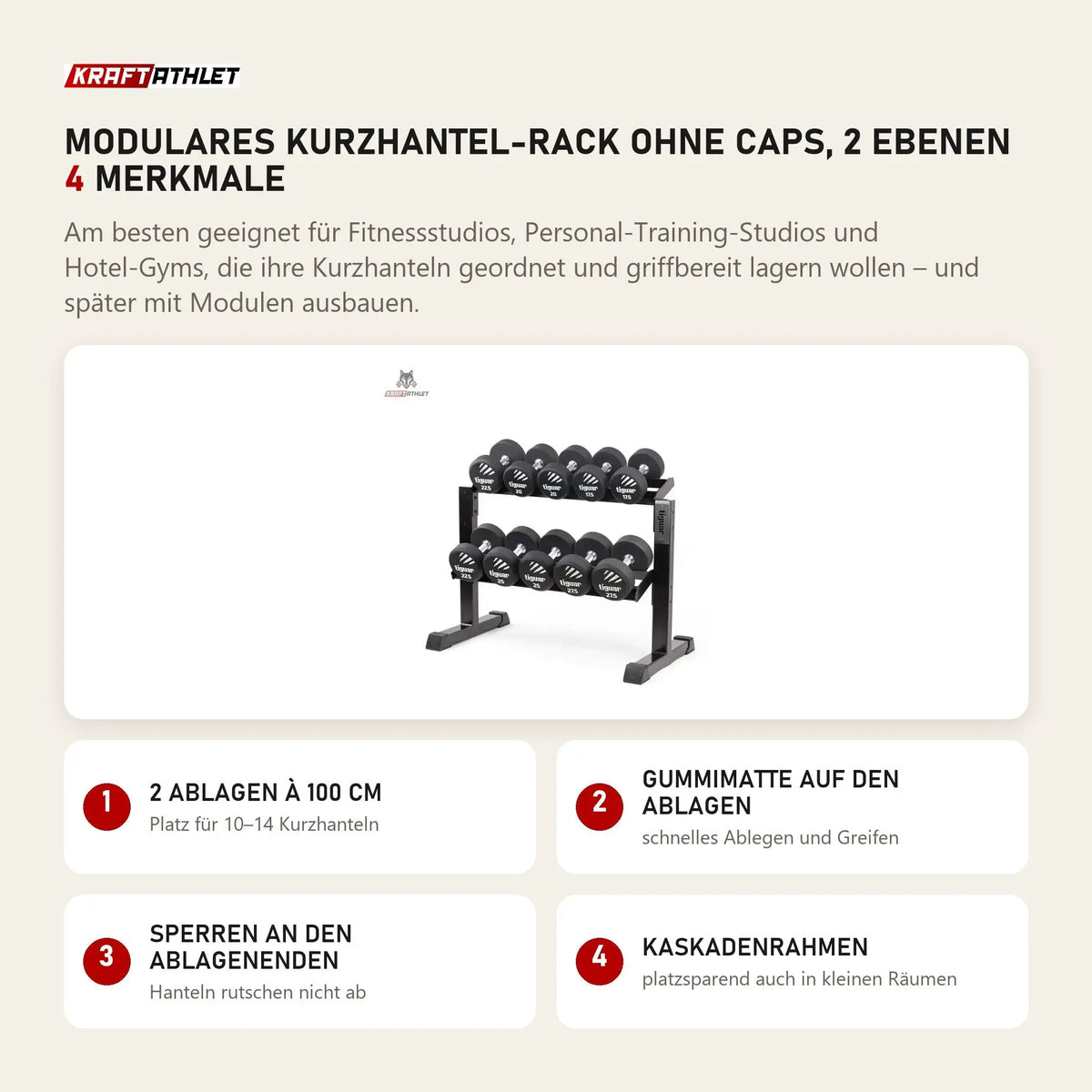tiguar Modulares Kurzhantel-Rack ohne Caps, 2 Ebenen mit 4 Merkmalen: 2 Ablagen à 100 cm, Gummimatte auf den Ablagen, Sperren an den Ablagenenden, Kaskadenrahmen