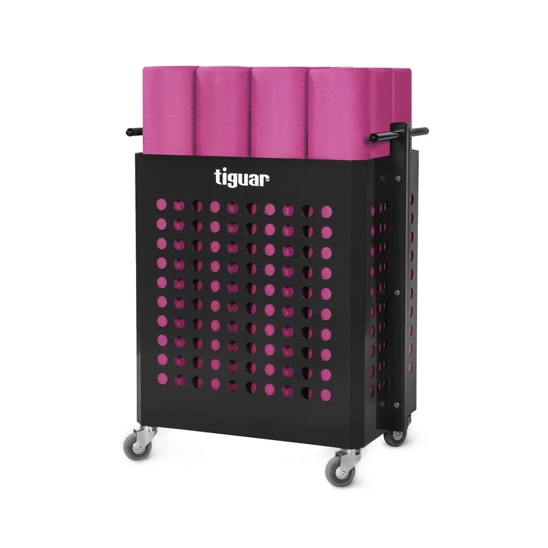 tiguar smart line - equipment storage unit