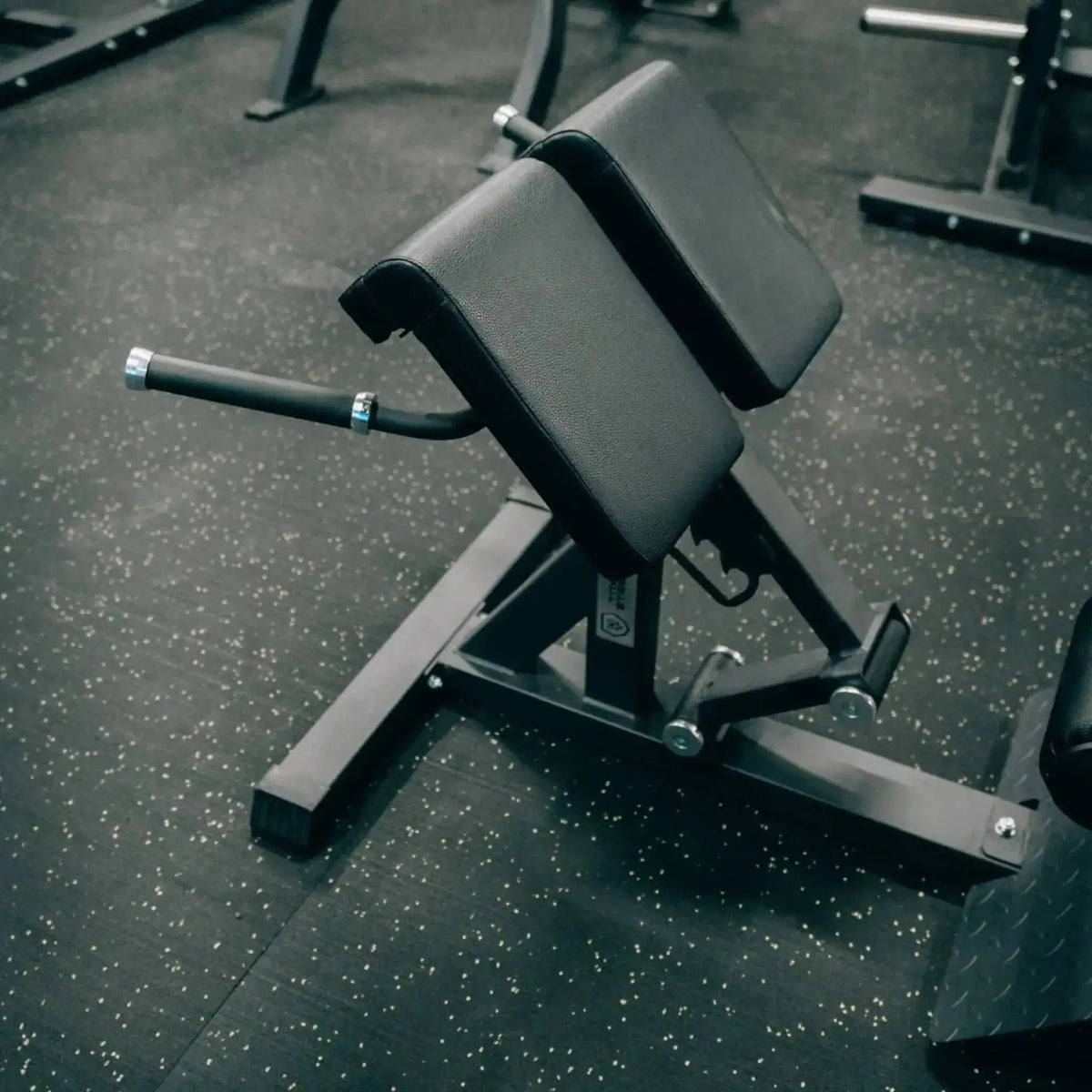 Titanium Strength Elite Series Hyperextension Bank Römischer Stuhl, Schrägansicht