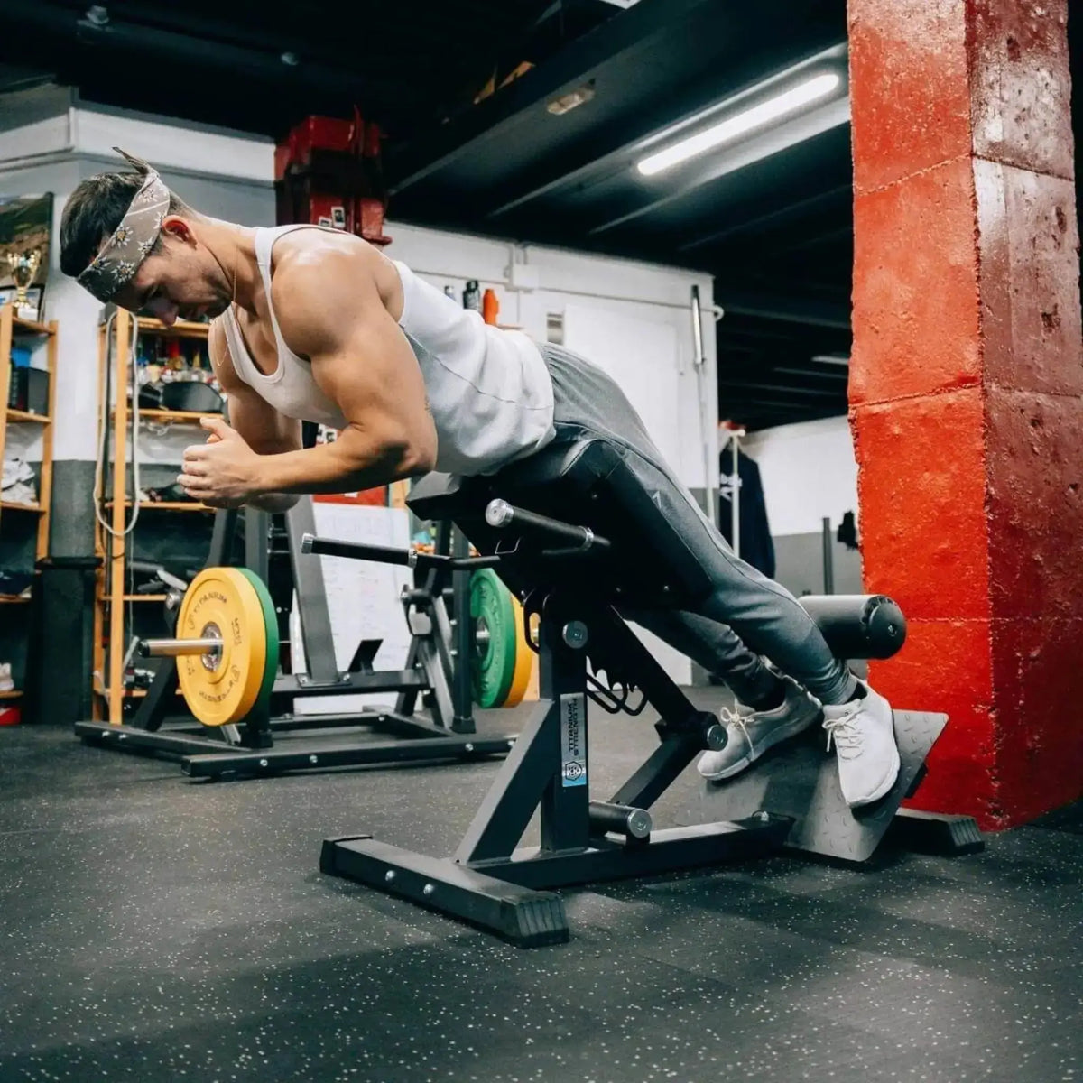Titanium Strength Elite Series Hyperextension Bank Römischer Stuhl, Outdoor Training Ansicht
