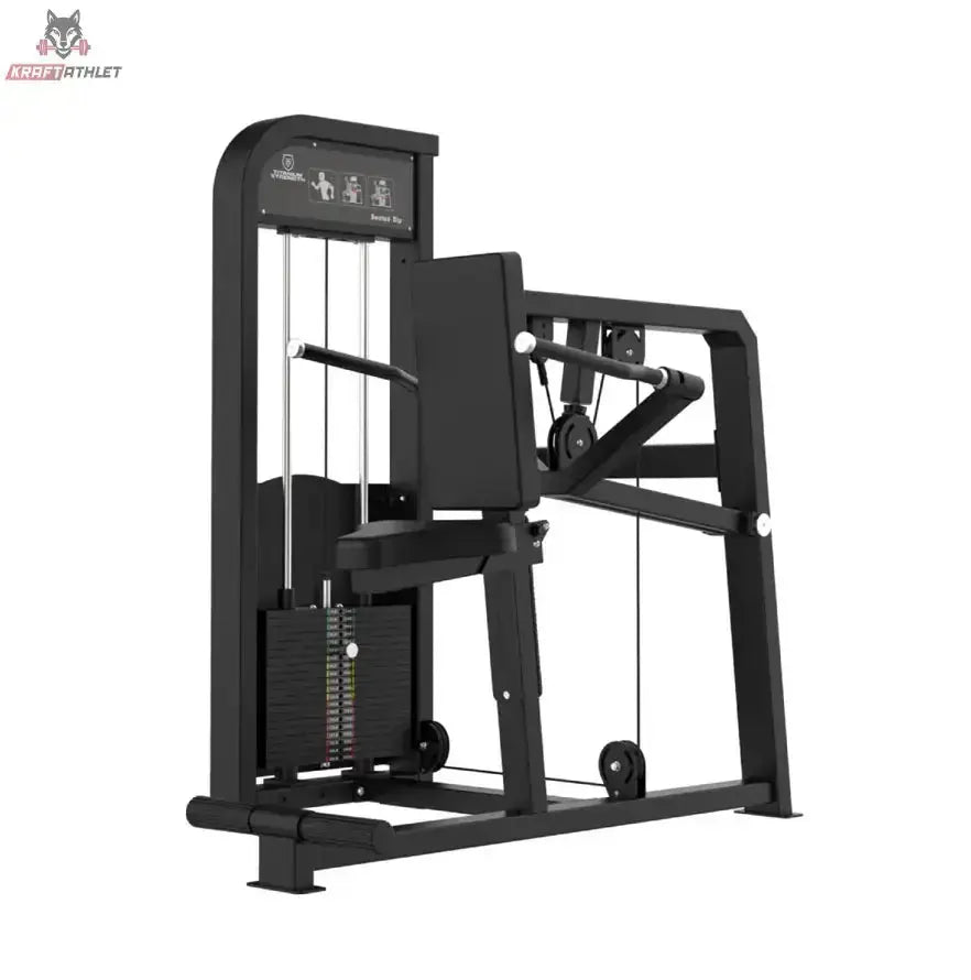 Titanium Strength Elite Series Trizeps Dips in Schrägansicht freigestellt