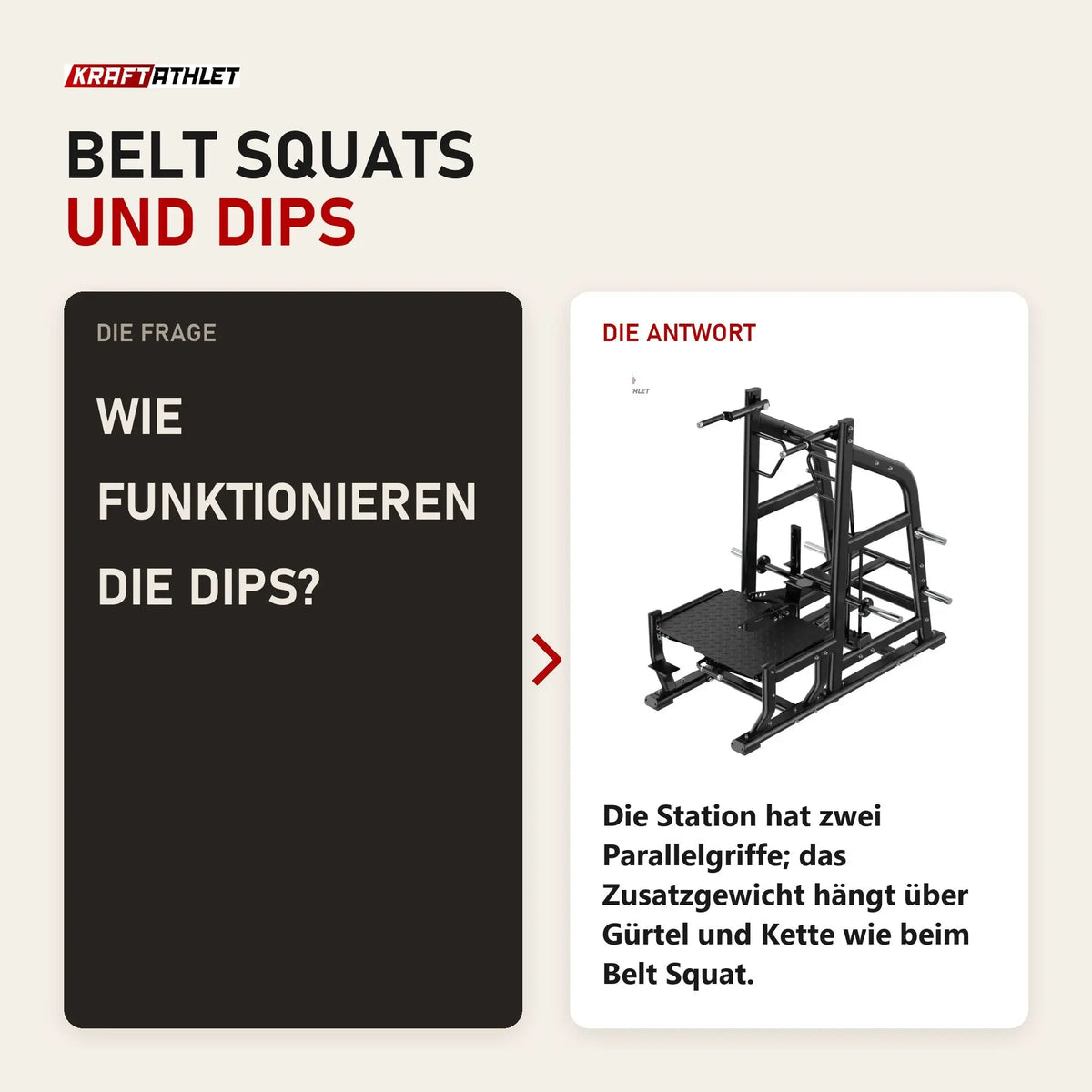 Frage und Antwort zu Titanium Strength Genesis Series Multi Belt Squat: Wie funktionieren die Dips?