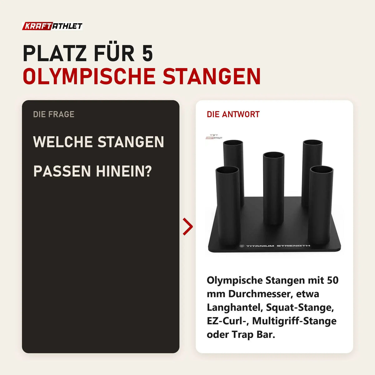 Frage und Antwort zu Titanium Strength Rack für 5 olympische Stangen vertikal: Welche Stangen passen hinein?
