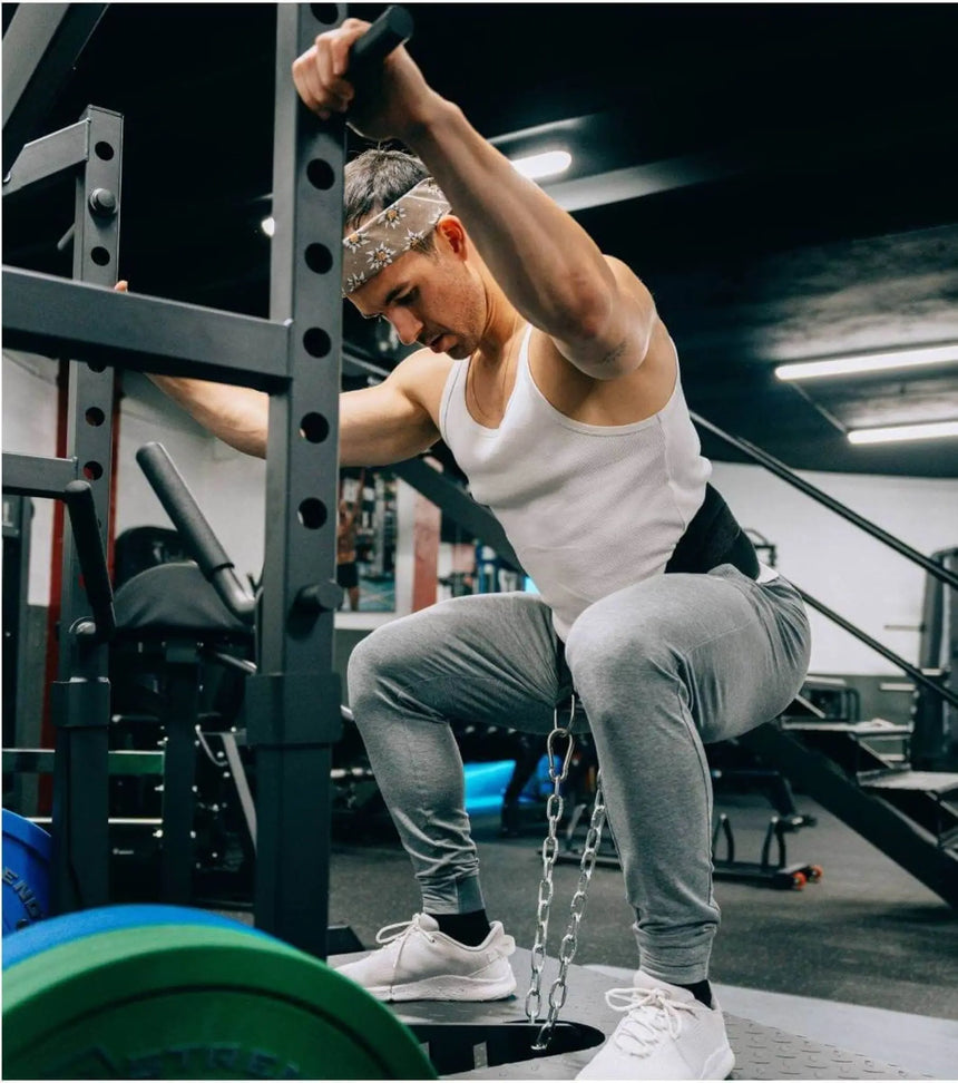 Titanium Strength | EL-PL9 | Belt Squat Elite Series Titanium Strength