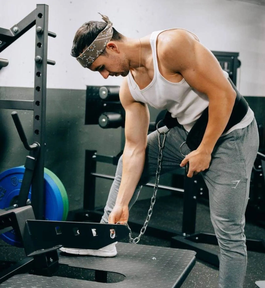 Titanium Strength | EL-PL9 | Belt Squat Elite Series Titanium Strength