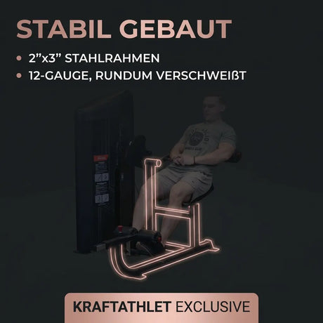 Body-Solid Series II Ab & Back Machine – Effektives Core-Training für Bauch und Rücken Bodysolid Abs Training Machines