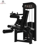Dual Beinbeuger Sitzend &amp; Beinstrecker Premium Titanium Strength Elite Series