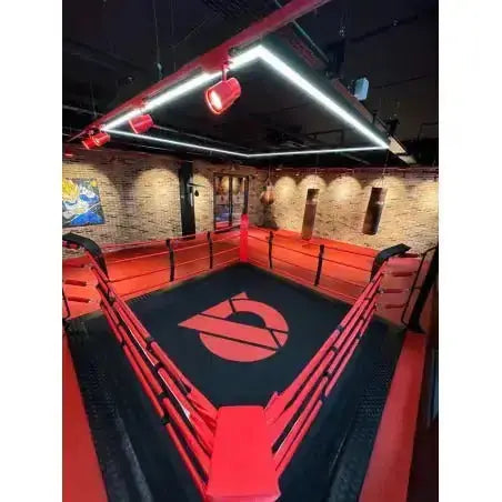 Ecofix bodenmontierter Boxring mit Aluminiumrahmen – Professioneller Ring für Fitnessstudios Sportcom