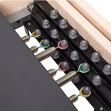 Elina Pilates Master Instructor Physio Reformer Elina Pilates