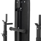 Plate-Loaded Dumbbell Set with Bench inSPORTline CEM 180 + 40 cm/30 mm 105 kg InSportLine Adjustable Benches
