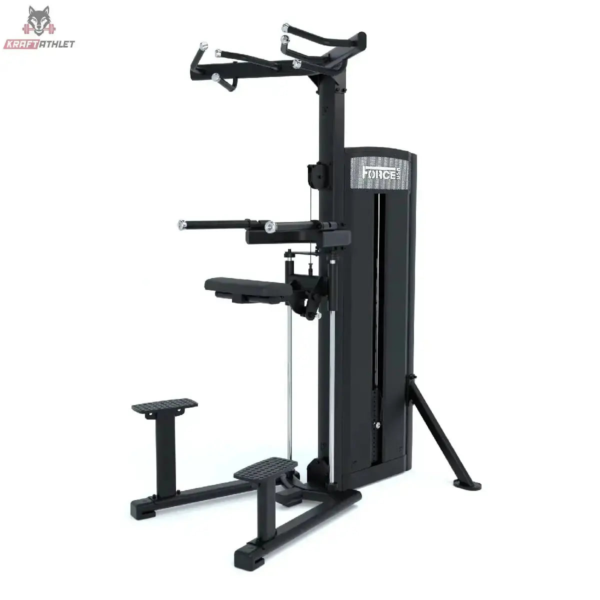 Klimmzug-Dipsmaschine Force USA Ridge Series