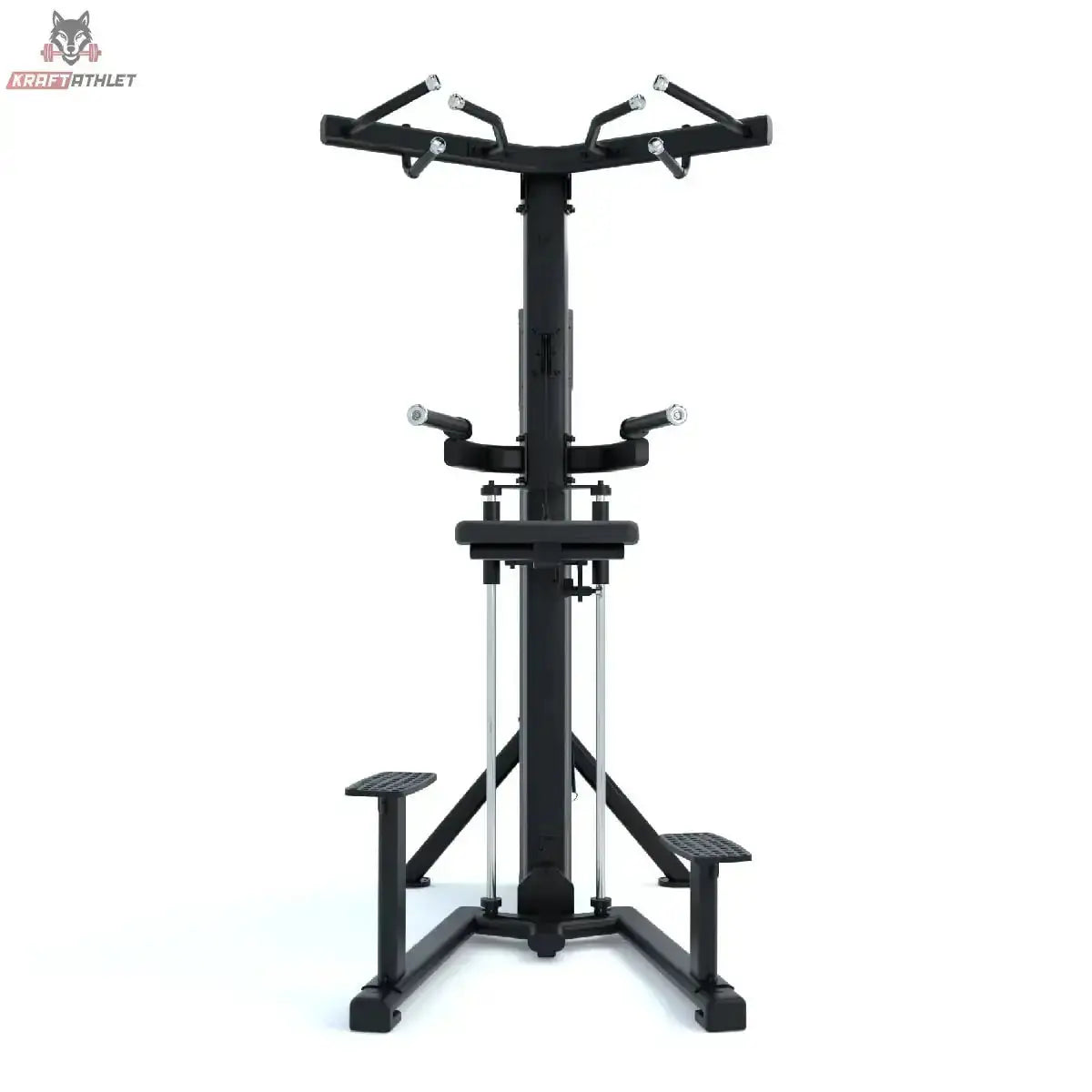 Klimmzug-Dipsmaschine Force USA Ridge Series