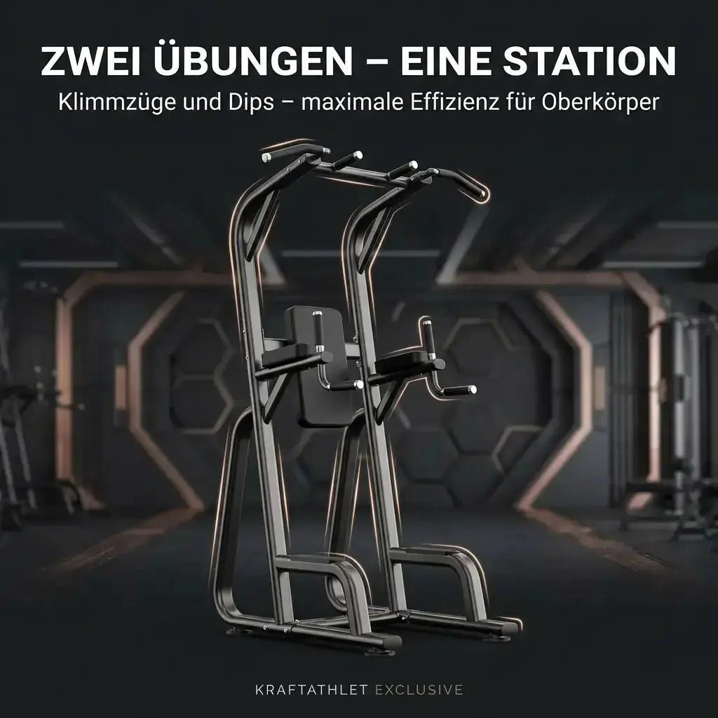 Klimmzug und Dipstation Titanium Strength Black Series Titanium Strength Aparatos de musculación