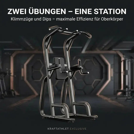 Klimmzug und Dipstation Titanium Strength Black Series Titanium Strength Aparatos de musculación