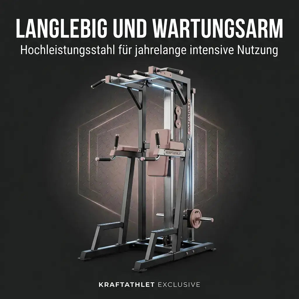Klimmzug und Dipstation Titanium Strength Black Series Titanium Strength Aparatos de musculación