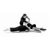 MTD Comprehensive Re-Training System Rotational Exercise Platform Elina Pilates