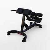 MaxPump A4000-36 Roman Chair Rückenstrecker