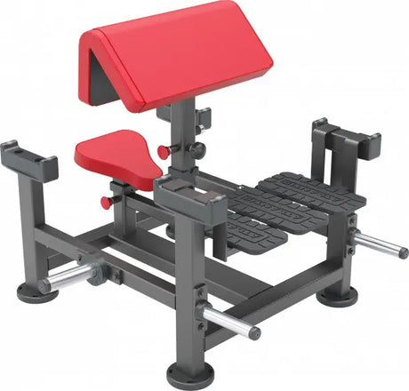 Poliquin Scott-Curl-Maschine (sitzend) – Atlantis