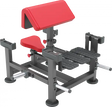 Poliquin Scott-Curl-Maschine (sitzend) Atlantis