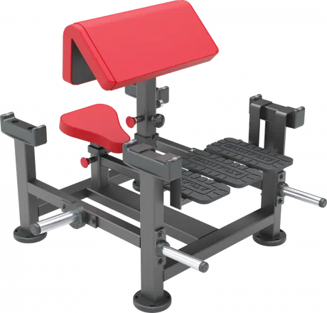 Poliquin Scott-Curl-Maschine (sitzend) Atlantis