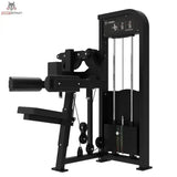 Seitenheben Titanium Strength Elite Series
