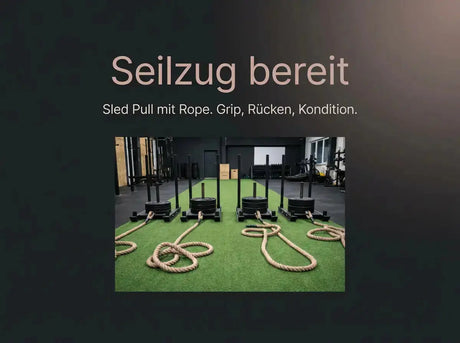 Tiguar 4RACE Training Sled – Trainingsschlitten für Push & Pull (50 kg) tiguar Functional