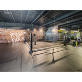 Trainingsboxring mit 15 cm Podium SportCom Boxring