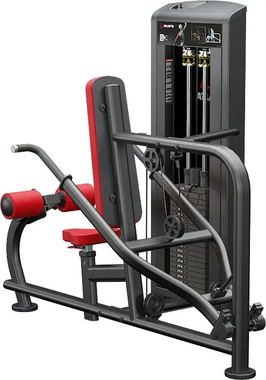 Trizeps-Pushdown-Maschine – Atlantis (Ansicht 2)