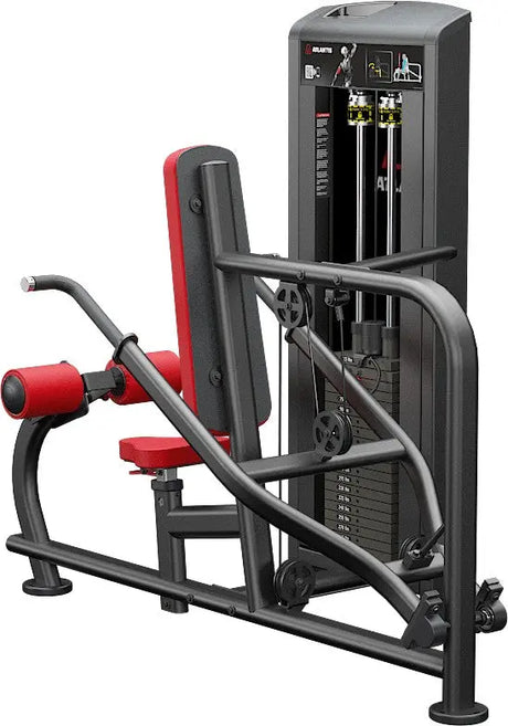 Trizeps-Pushdown-Maschine – Atlantis (Ansicht 2)