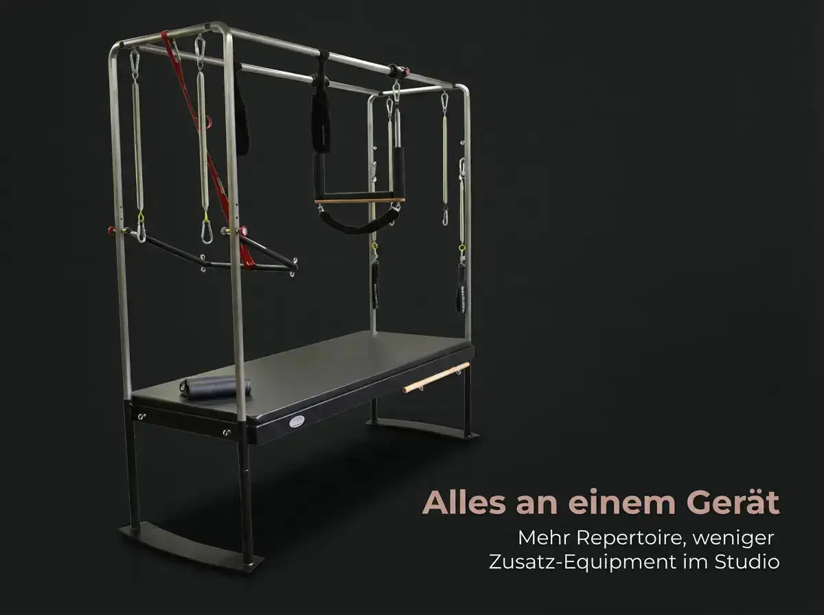 Body & Exercise Cadillac Black Edition aus Edelstahl, Grafik mit dem Hinweis auf alles an einem Gerät