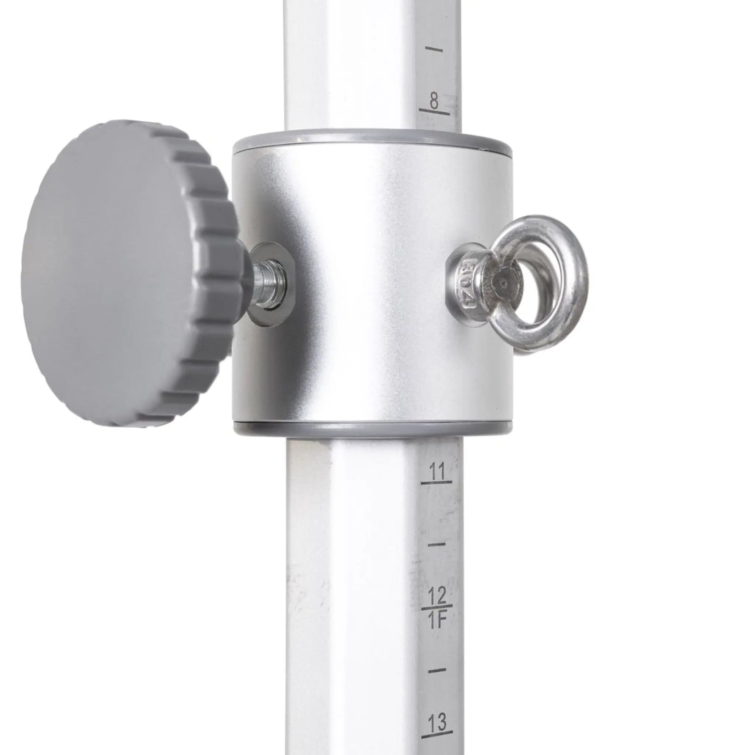 Elina Pilates Reformer Master Instructor with Tower Elina Pilates