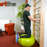 inSPORTline Wall Bars Directline 190 × 65 cm Beech Wood Home Gym InSportLine