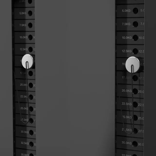 inSPORTline Wall-Mounted Power Rack Cable Column CC350 Adjustable Pulley Station InSportLine