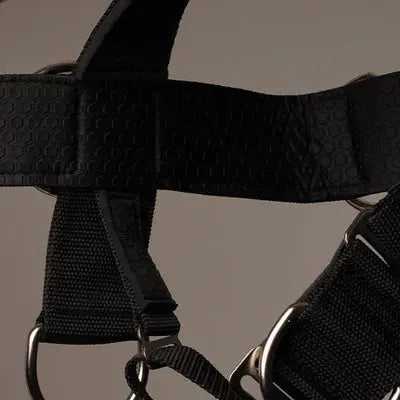Iron Neck Alpha Harness Plus Neck Training Harness - Kraftathlet
